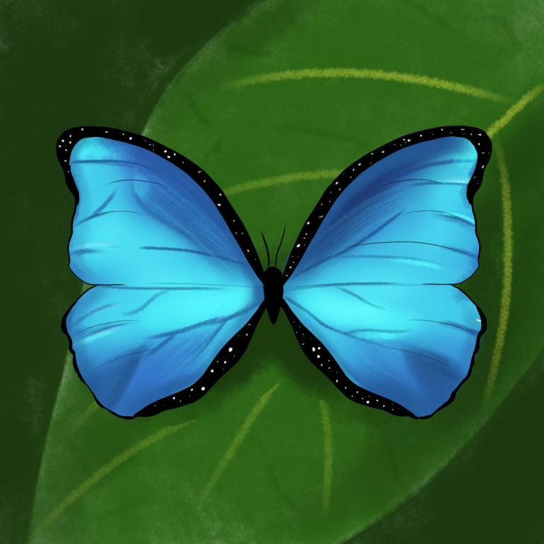 The Blue Butterfly