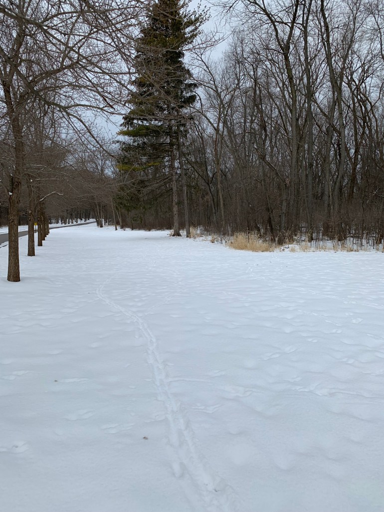 The Cold Does Not Know&nbsp;Me