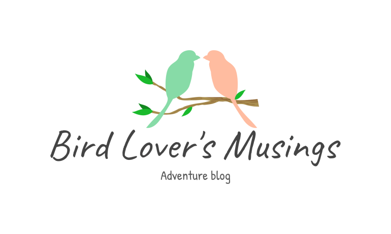 To Allay Panic, To Reveal Free Money–The Reasons I&nbsp;Write