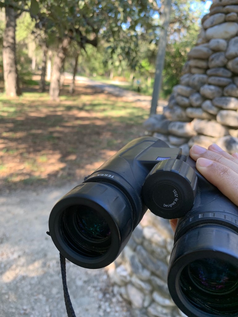 3 Reasons Birds are Important Enough to Dedicate Your Career to Them